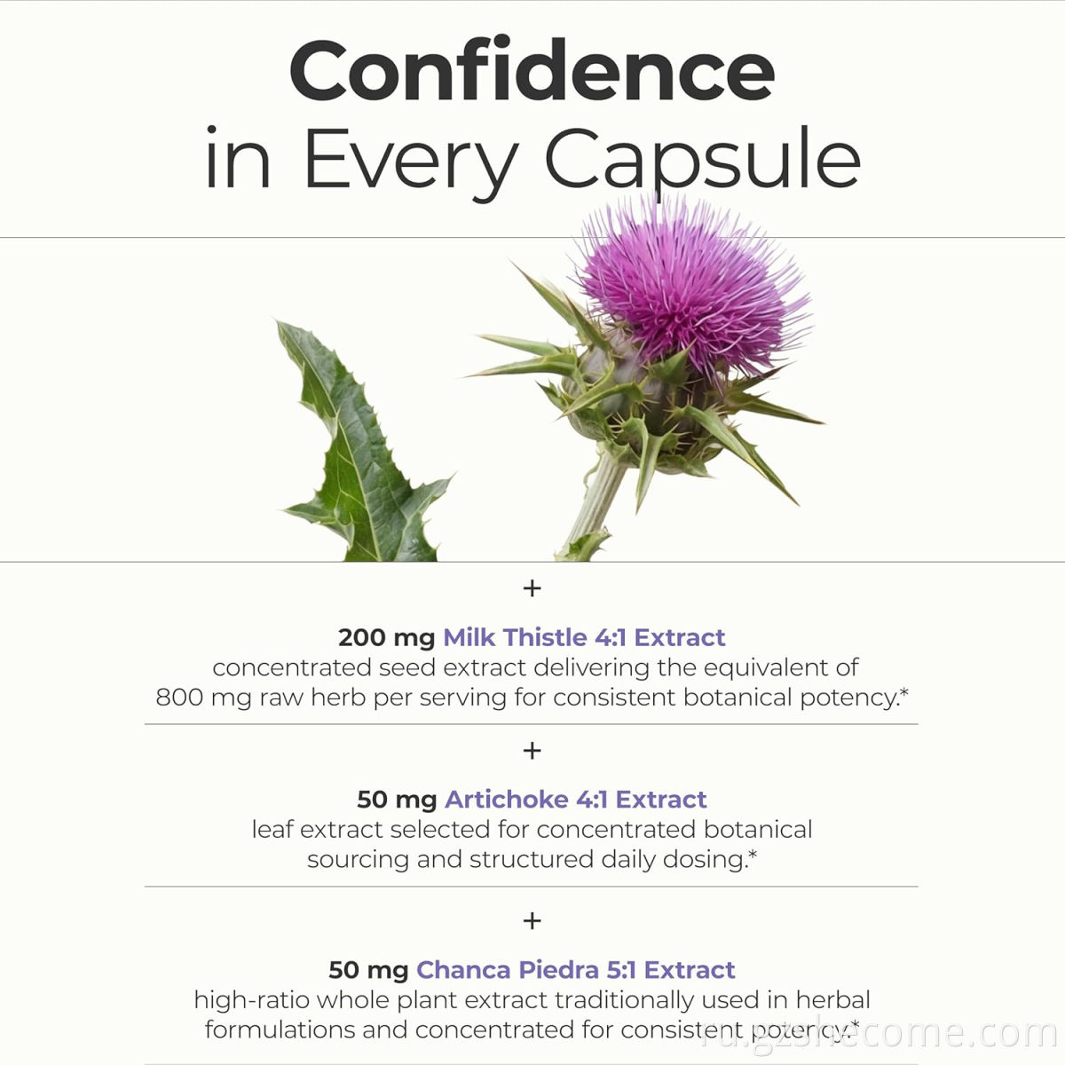 Liver Health Capsules3